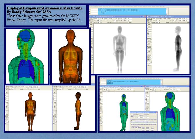 Computer Anatomical Man