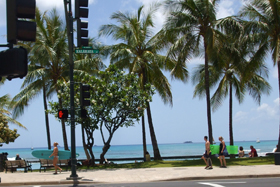 Hawaii Splash