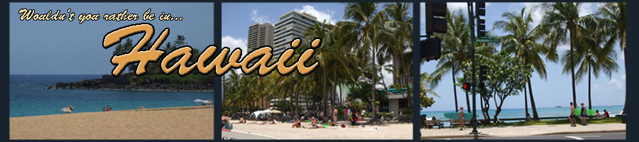 Hawaii Banner